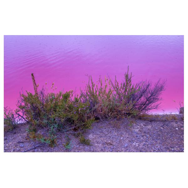 PHOTO84, CLUB, 84 , LUBERON